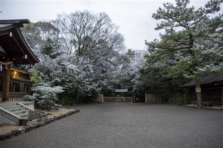 熱田神宮の雪景色(15)
