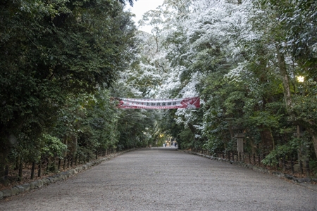 熱田神宮の雪景色(41)