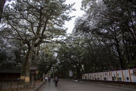 熱田神宮の雪景色(5)