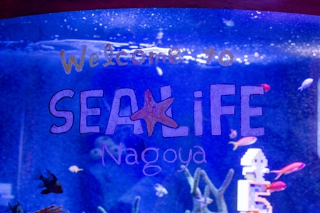 SEA LIFE Nagoya(108)