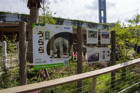 東山動物園本園(739)