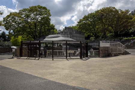 東山動物園本園(869)