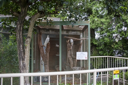 東山動物園本園(957)