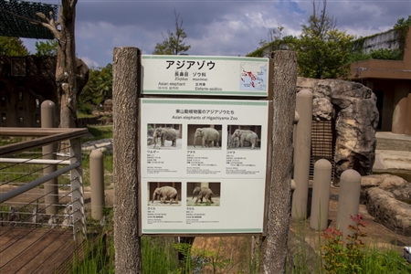 東山動物園本園(977)