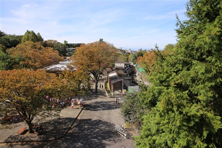 東山動物園本園(168)