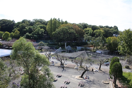 東山動物園本園(171)