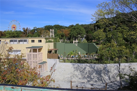 東山動物園本園(172)