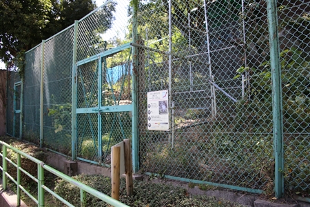 東山動物園本園(462)