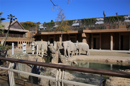 東山動物園本園(47)