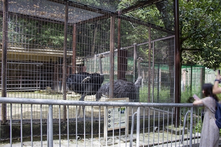東山動物園本園(496)
