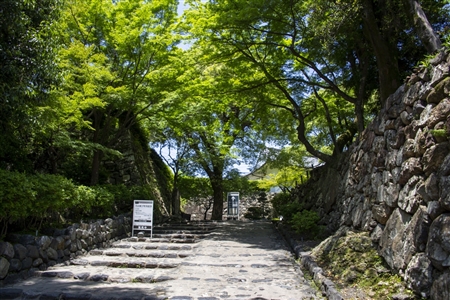 Inuyama Castle(14)