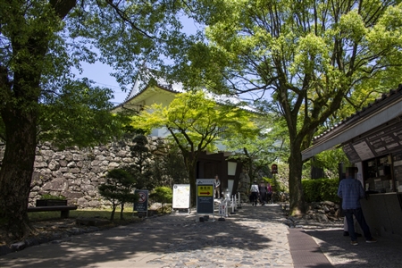 Inuyama Castle(15)