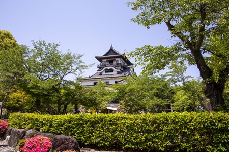Inuyama Castle(17)