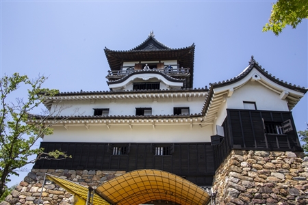 Inuyama Castle(18)