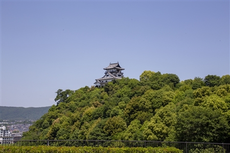 Inuyama Castle(2)