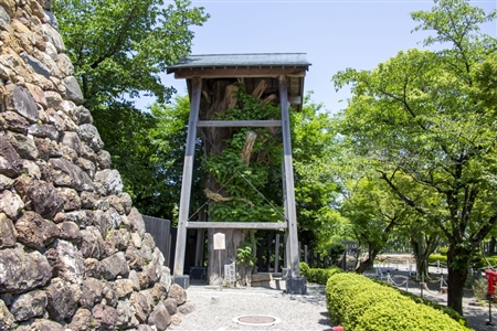 Inuyama Castle(31)