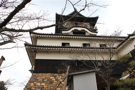Inuyama Castle(53)