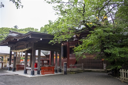 鶴岡八幡宮(50)