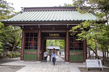 鎌倉大仏殿高徳院(2)