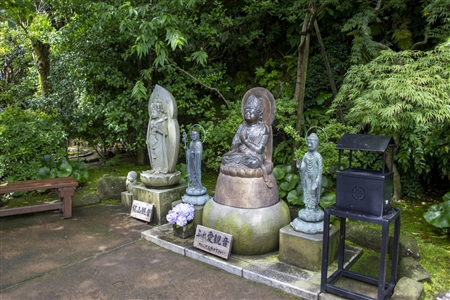 鎌倉 長谷寺(118)