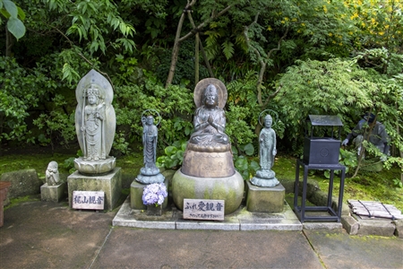 鎌倉 長谷寺(119)