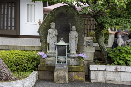 鎌倉 長谷寺(9)