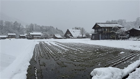 白川郷の雪景色(103)
