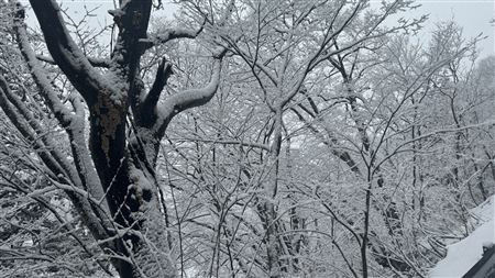 白川郷の雪景色(110)