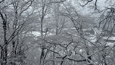 白川郷の雪景色(111)