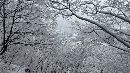 白川郷の雪景色(112)