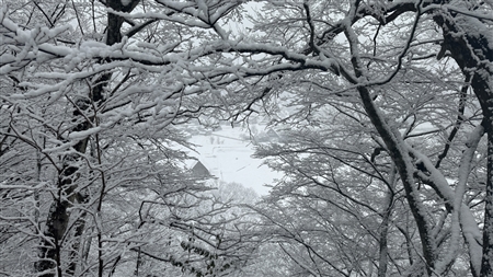 白川郷の雪景色(113)
