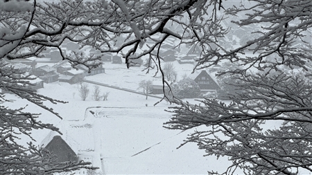 白川郷の雪景色(114)