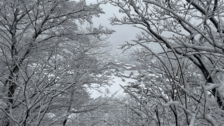 白川郷の雪景色(115)