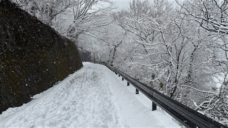 白川郷の雪景色(139)