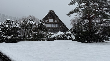 白川郷の雪景色(142)