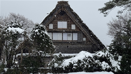 白川郷の雪景色(143)