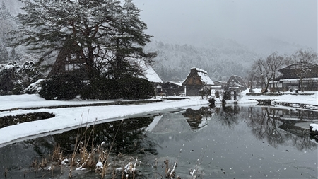 白川郷の雪景色(145)