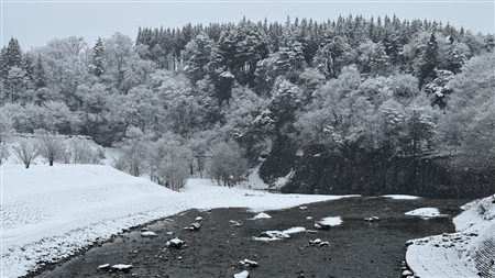 白川郷の雪景色(15)