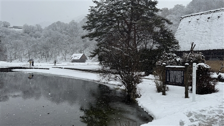 白川郷の雪景色(153)