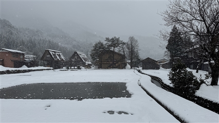 白川郷の雪景色(159)