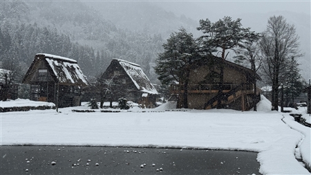 白川郷の雪景色(160)