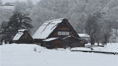 白川郷の雪景色(161)