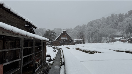 白川郷の雪景色(163)