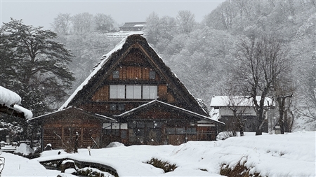 白川郷の雪景色(164)