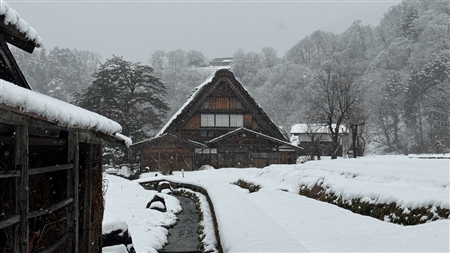 白川郷の雪景色(165)