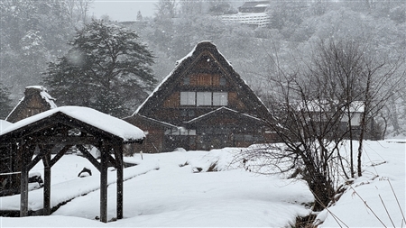 白川郷の雪景色(166)