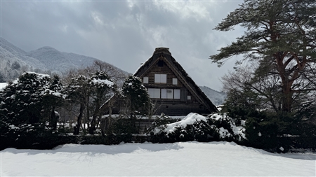 白川郷の雪景色(191)