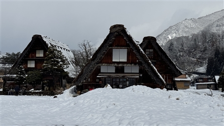 白川郷の雪景色(194)