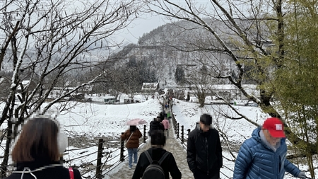 白川郷の雪景色(198)