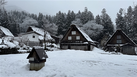 白川郷の雪景色(68)